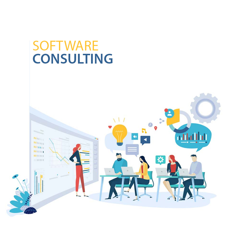 software-consulting